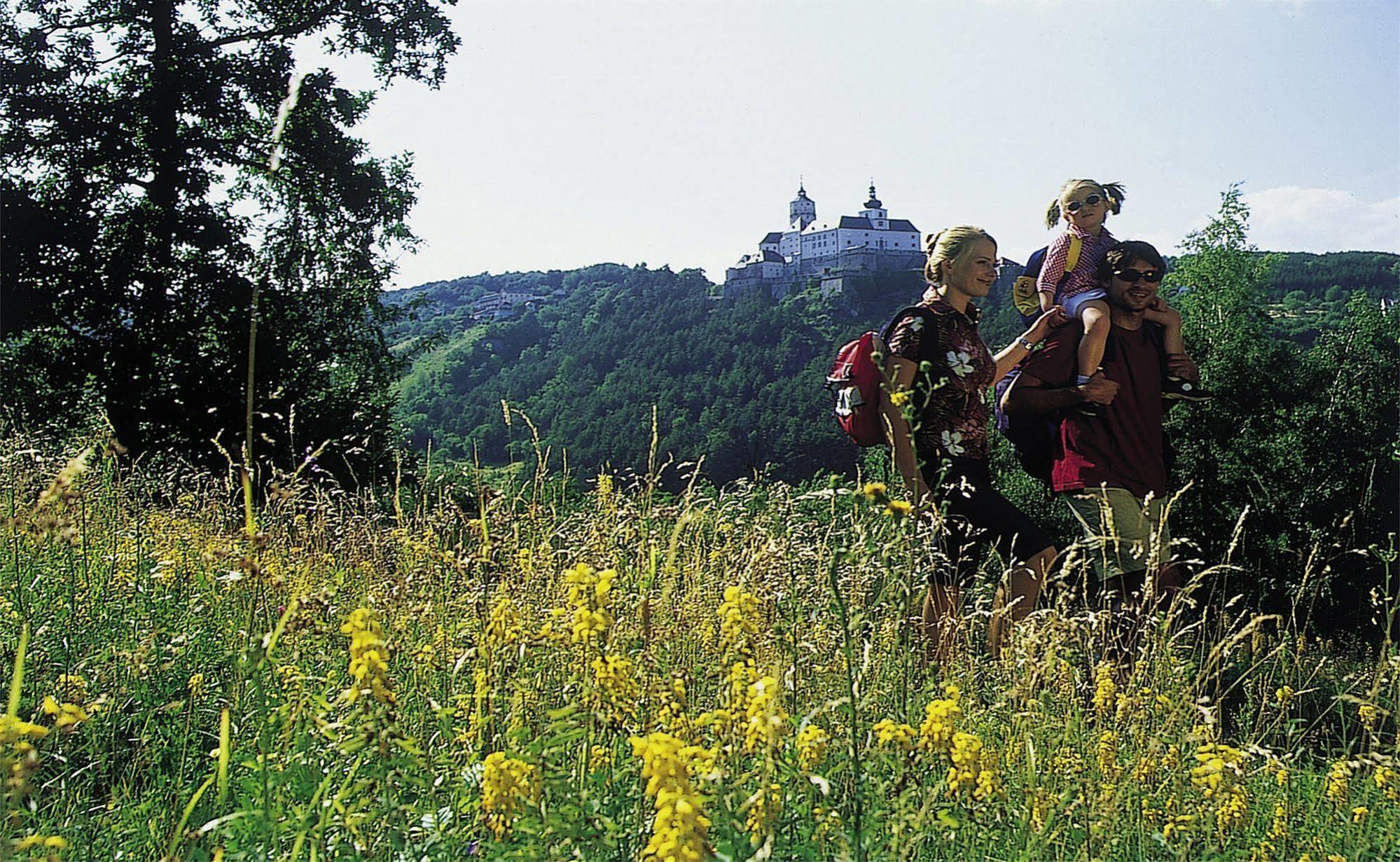 Beerenhof Wiesen Mattersburg Eksteriør bilde